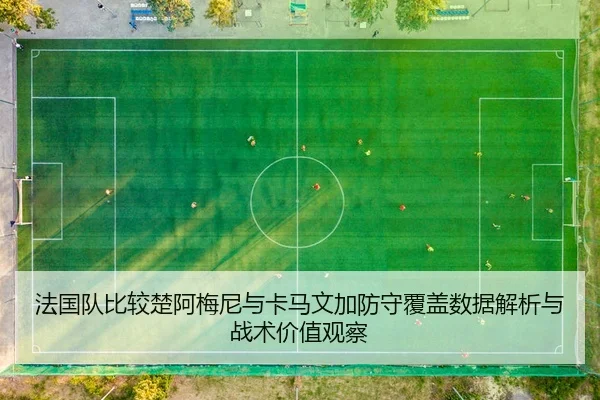 法国队比较楚阿梅尼与卡马文加防守覆盖数据解析与战术价值观察