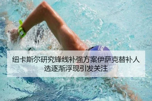 纽卡斯尔研究锋线补强方案伊萨克替补人选逐渐浮现引发关注