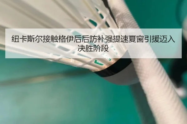 纽卡斯尔接触格伊后后防补强提速夏窗引援迈入决胜阶段